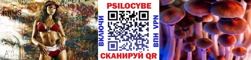 Купить где  Багратионовск  Псилоцибиновые грибы MAGIC MUSHROOMS 